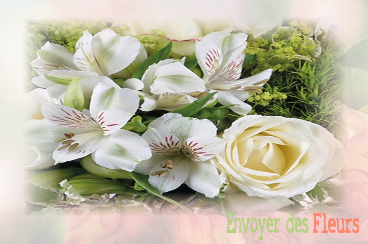 envoyer des fleurs à à ETOILE-SAINT-CYRICE